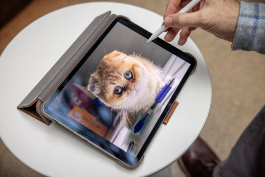 Best Leather iPad Case for Artists